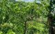 thum-7894751_fqDaE3kYgH_1620917099.jpg