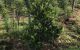 thum-7895539_ovAfLUDq9g_1620959636.jpg