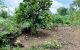 thum-7896380_C2S3Qjid6m_1620978051.jpg