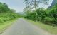 thum-7899885_QRWhy7DFY9_1621092953.jpg
