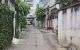 thum-m_SJzUpOsE61_1621168360.jpg