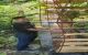 thum-7904807_lL4O6aWDXU_1621293912.jpeg