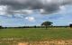thum-7905530_i23equsD8f_1621310071.jpg