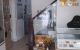 thum-m_mzKjeEto02_1621304822.jpg