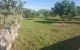 thum-7910040_n8lYsQTdOH_1621437767.jpg