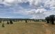 thum-7910722_i3eXSkK0n5_1621476366.jpg