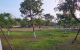 thum-7910747_dcZiSAJgFN_1621477340.jpg