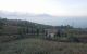 thum-7910958_W2ibvXP9CA_1621480918.jpg