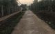 thum-7915984_kEd0VKAWuM_1621651019.jpg