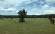 thum-7916642_tQVwcXlU04_1621663064.jpg