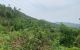 thum-7917158_LXI1mbq0RW_1621673059.jpg