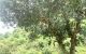 thum-7917158_Ln3NkRGO67_1621673073.jpg