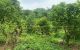 thum-7917158_VUBOkA8iay_1621673062.jpg