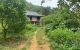 thum-7917158_sWulpj3dhI_1621673066.jpg