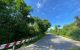 thum-m_cF6WN3IBjR_1621730479.jpg