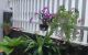 thum-7920922_jbiCkuDX0n_1621842594.jpg
