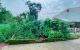 thum-m_ZM8c0gRxwD_1621841373.jpg