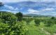 thum-m_nNiztb2c7j_1621953085.jpg