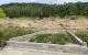 thum-7926037_qyNvbgK6If_1622000528.jpg