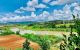thum-m_pCsQkfSGAH_1622125160.jpg