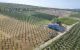 thum-7932853_WocaiZ9gQj_1622194043.jpg