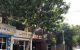 thum-m_YCpLiHAnTG_1622191533.jpg