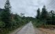 thum-m_K34hwbnCYl_1622253264.jpg