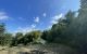thum-7938340_3rOUghIF8M_1622434131.jpg