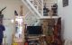 thum-m_JWyDsM2l78_1622597250.jpg