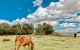thum-m_VKjQBqWfHe_1622627716.jpg