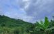 thum-7945816_54Ygc8uHiz_1622688720.jpg