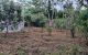 thum-7946721_l837dP2fih_1622707950.jpg