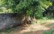 thum-7946830_KdruzF6Hc5_1622710724.jpg