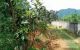 thum-7946830_pq3gQawbJu_1622710672.jpg