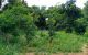 thum-m_C1mLv2fMzn_1622710669.jpg