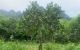 thum-7951262_Uj4tEX0NDs_1622866712.jpg