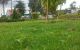 thum-7953698_z2eaPHYX3C_1622979233.jpg