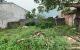thum-m_8ha2QepMTO_1623055602.jpg