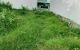 thum-m_kPxcHNTwQi_1623052504.jpg
