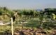 thum-7957909_0s61ijbHDo_1623138976.jpg