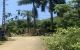 thum-7961210_TOCNdJbBea_1623249135.jpeg