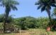 thum-7961210_djJa3zt0hZ_1623249131.jpeg