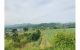 thum-7961292_OlcUPLGYxp_1623257103.jpg