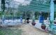 thum-7961600_QJWdCI9aLs_1623275170.jpg