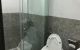 thum-7963093_VBC6j5pfDY_1623332679.jpg