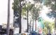 thum-m_p2Vw8FvbTo_1623316505.jpg
