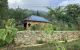 thum-7964497_pL7cKxWHy3_1623384150.jpg
