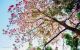 thum-7965616_rWwFoVNnbd_1623407347.jpg