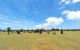 thum-7967481_bhr8NV6Qal_1623487463.jpg