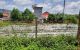 thum-m_mOnj50sTeW_1623491762.jpg